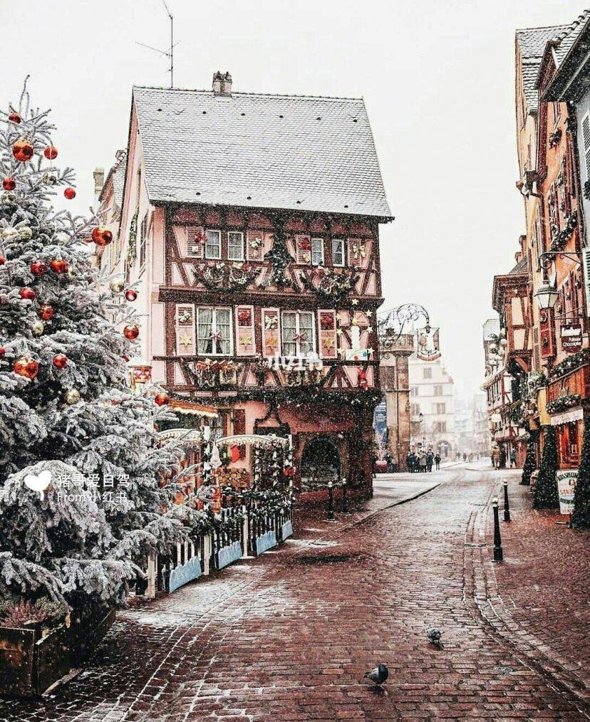 48218130_2077374132308894_5667682300280700928_n