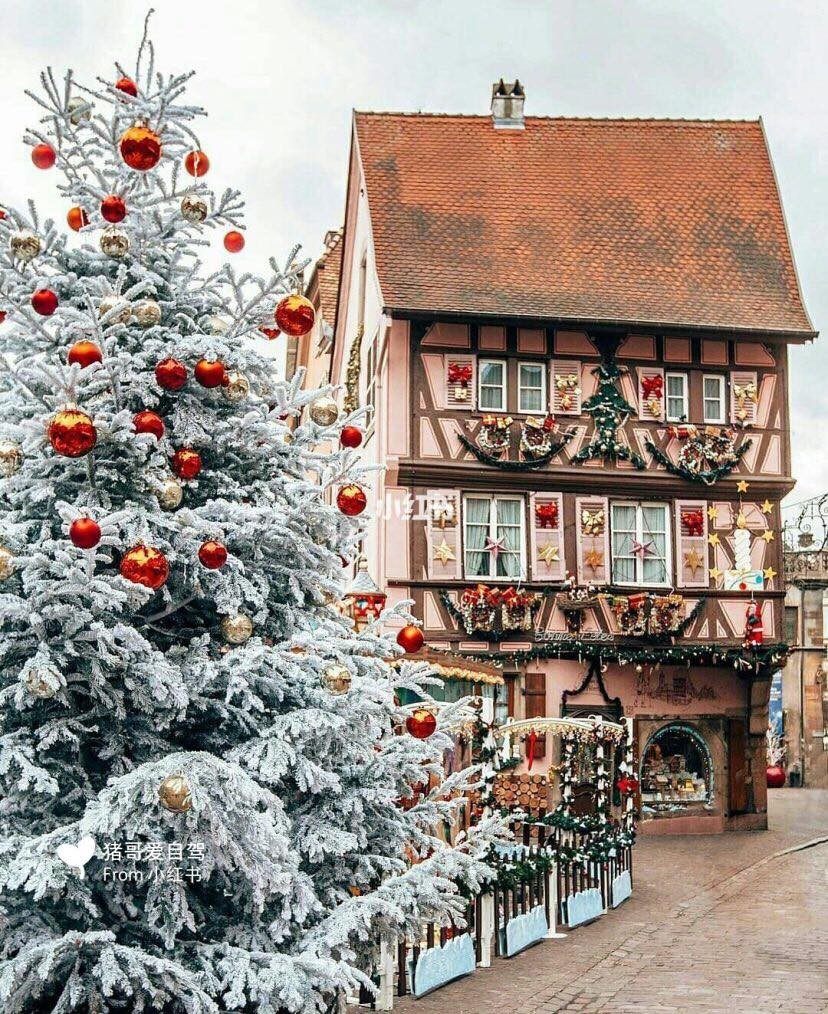 48281553_512755122540354_7081213083149926400_n