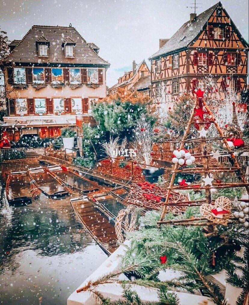 48361445_386875852057246_7889652715691704320_n