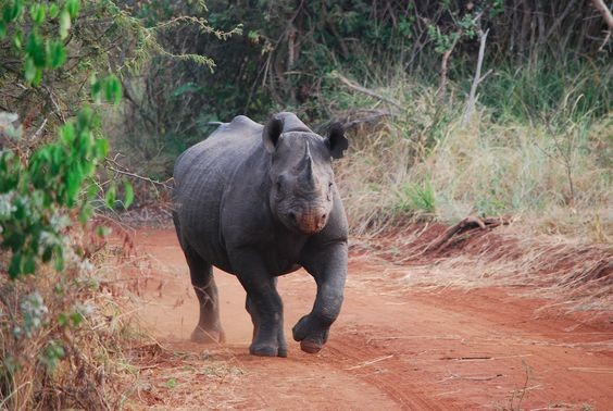 7cfe705b50aeff6e83cc937f343b1fb2