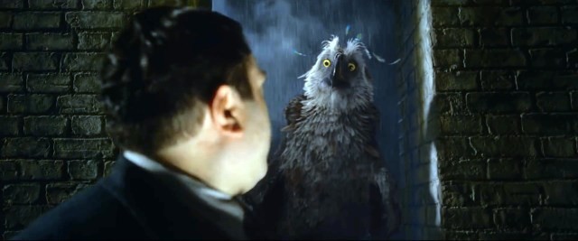 Fantastic-Beasts-Augurey