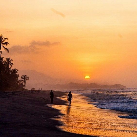 c6d4d442eaacbba84873918275ba8514