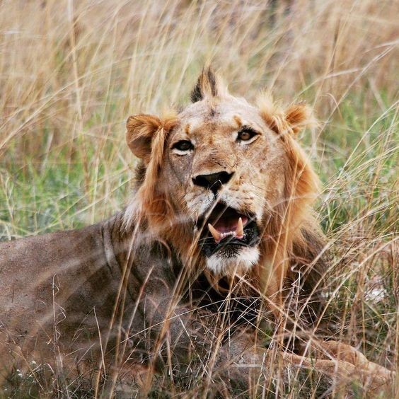 fa5a6cc2d091ab8fe5ed06c84c4a445c