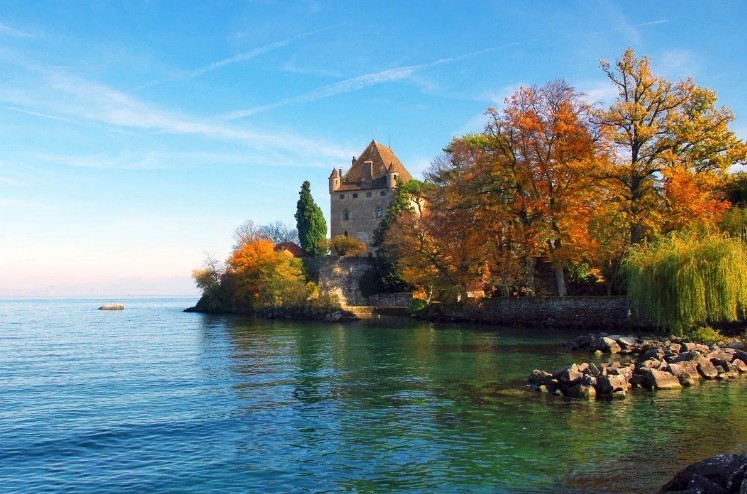 螢幕快照 2019-01-22 下午1.09.45