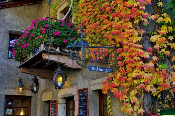 螢幕快照 2019-01-22 下午1.13.00