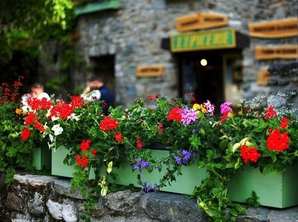 螢幕快照 2019-01-22 下午1.25.56