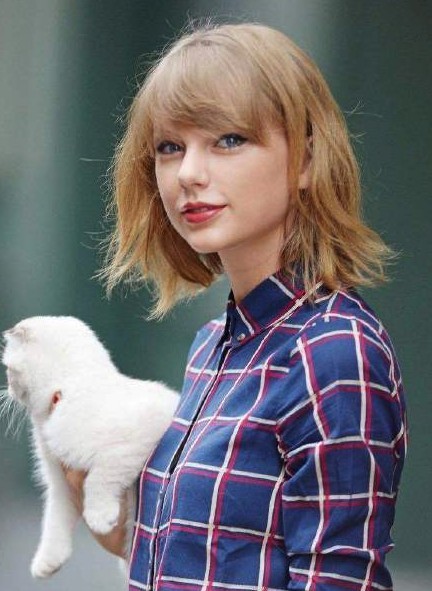 螢幕快照 2019-01-23 下午4.50.22