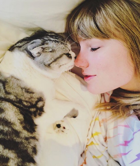 螢幕快照 2019-01-23 下午5.20.04