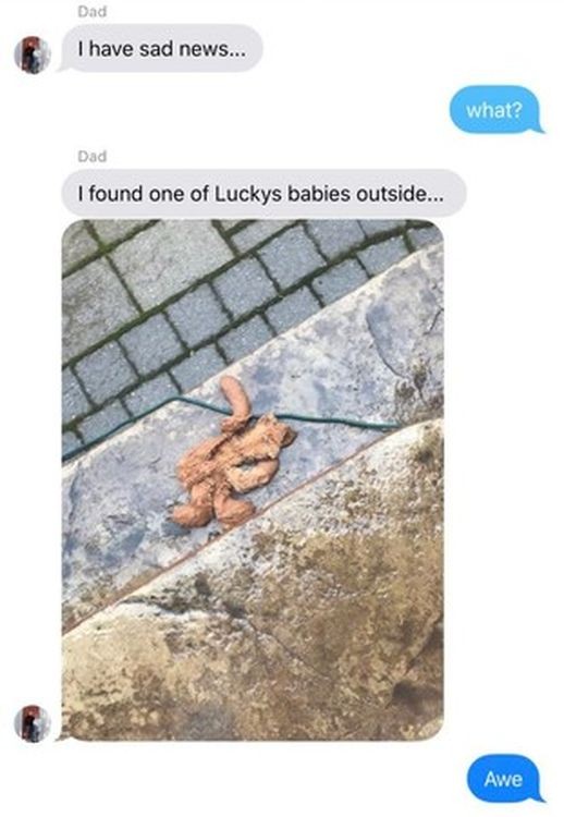 20190128_LI_啤啤熊02