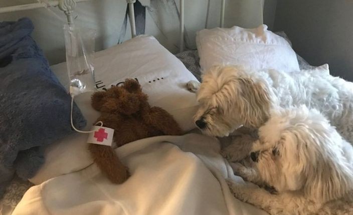 20190128_LI_啤啤熊03