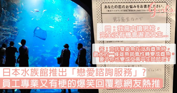 超爆笑！日本水族館竟然推出「戀愛諮詢服務」，員工專業又有梗的回覆惹網友熱推！