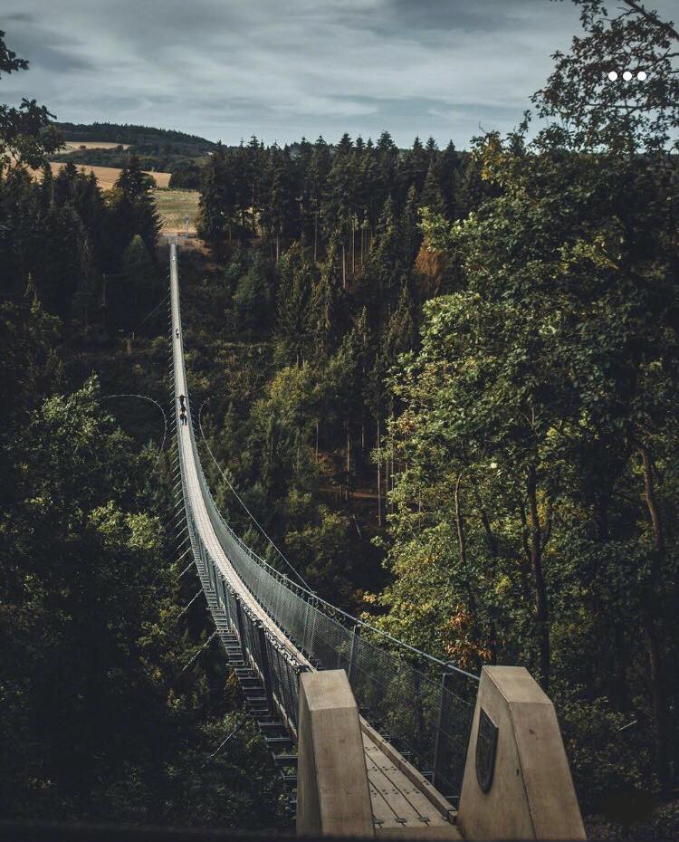 49204460_1277491259066104_1780496632635195392_n