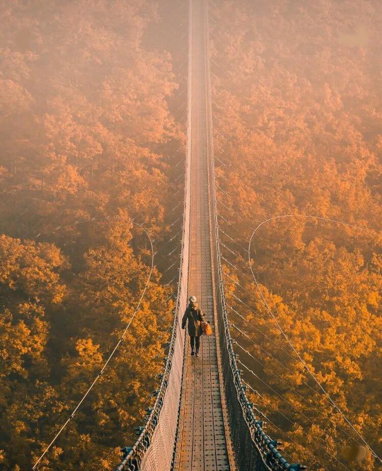 49277741_359186098213529_3866354023992918016_n