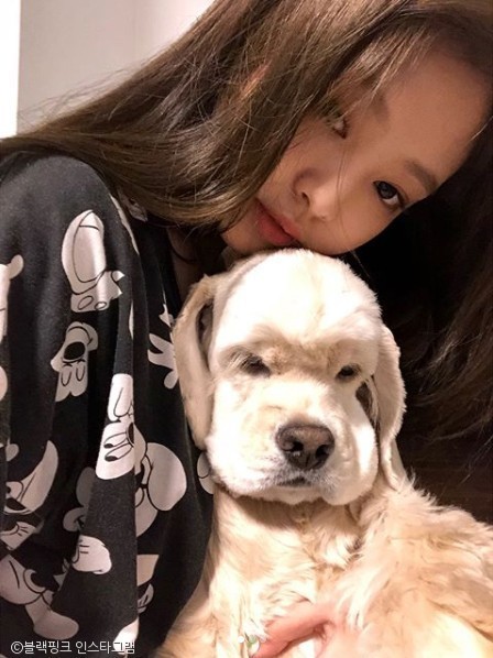 66bc67dd-8870-496a-af41-1cb0c4a092b4