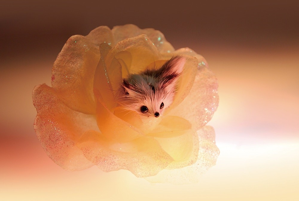 P-ZNMn-diNP5E6UHBXDjAaYcYxszVvYz7xB14-8QdeM