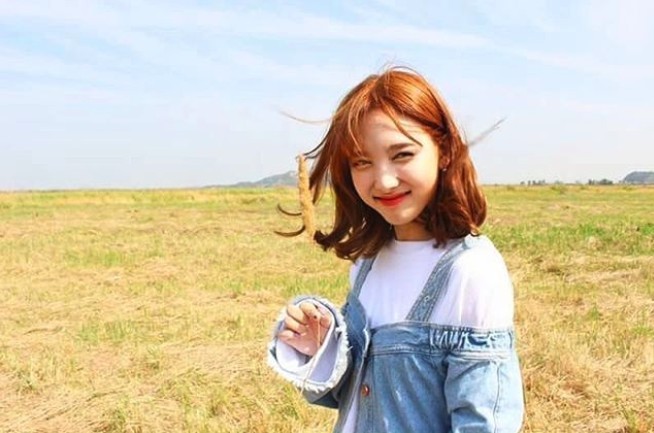 Screen Shot 2019-01-08 at 6.52.38 PM