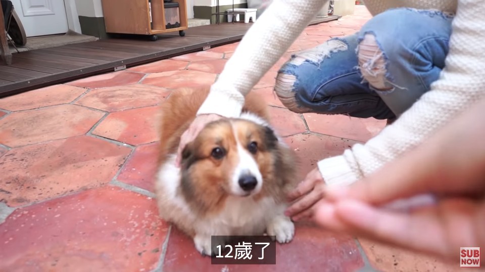 Screen Shot 2019-01-10 at 4.12.47 PM