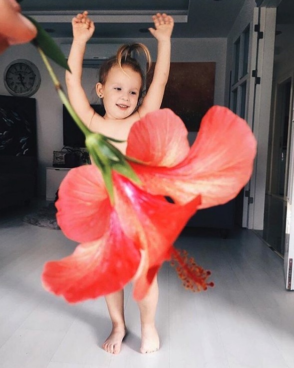 Screen Shot 2019-01-14 at 5.35.11 PM