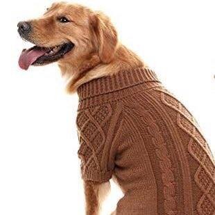 52788205_1186695691524830_7401143826934398976_n