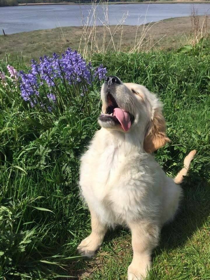 52828214_1186694298191636_880184333917224960_n