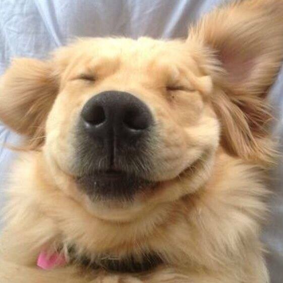 52846897_1186694374858295_2832988865420066816_n