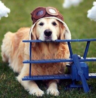 53359677_1186695824858150_6567991137255030784_n