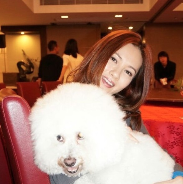 Screen Shot 2019-02-11 at 6.23.05 PM