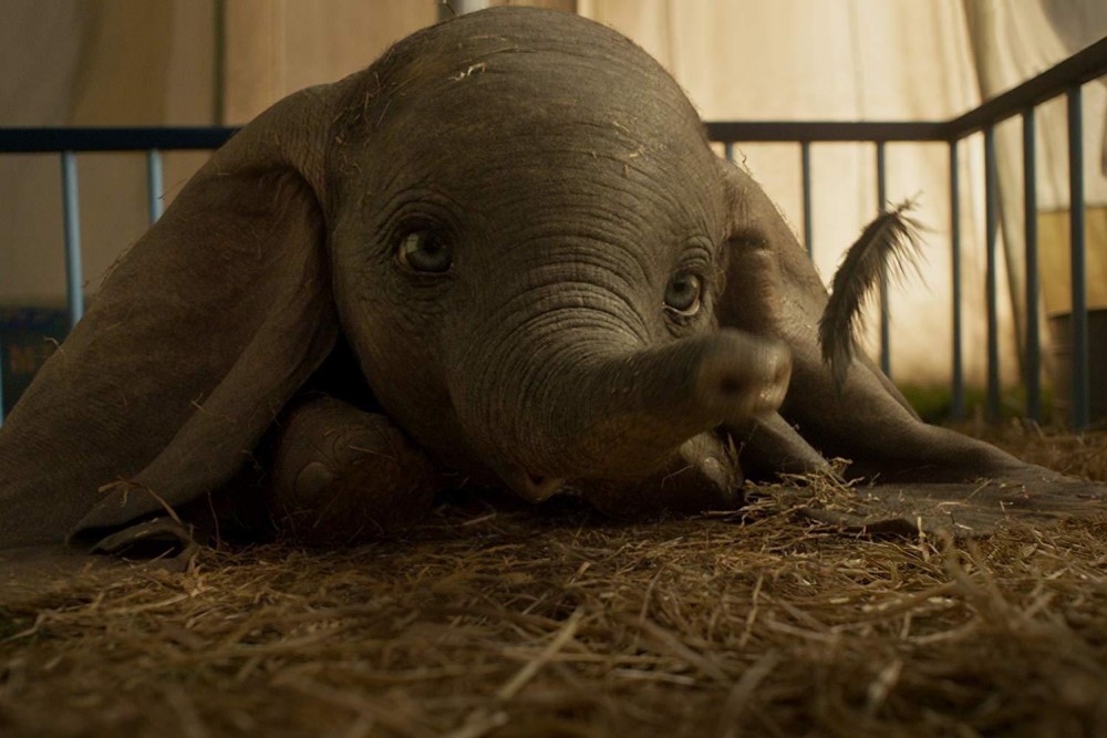 dumbo (1)