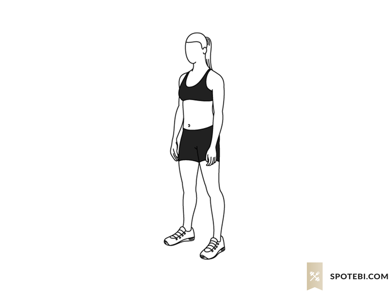squat-exercise-illustration