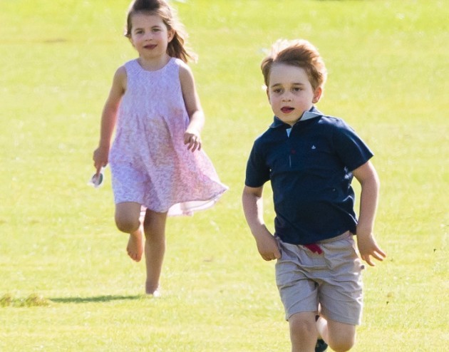 螢幕快照 2019-03-18 下午6.00.11