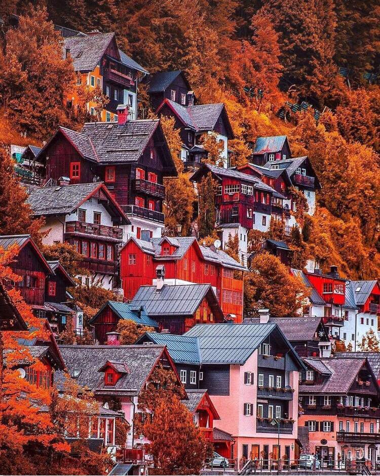 53183615_311726362869364_6633259186861899776_n