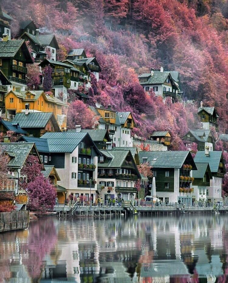 53303541_989454388109985_593457488376889344_n