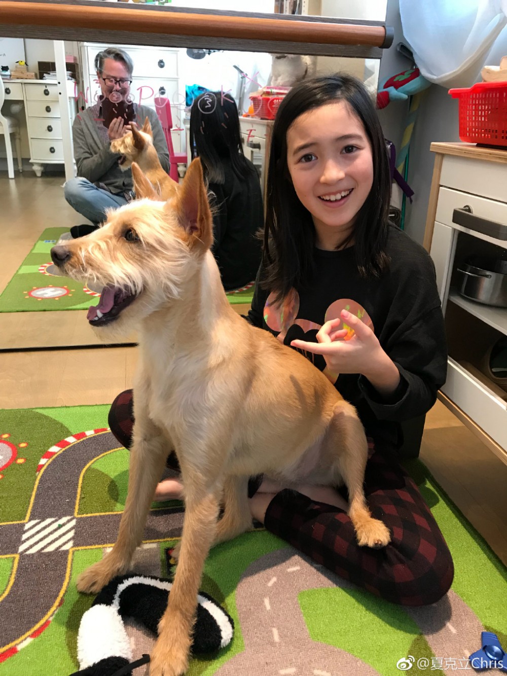 6f19b986gy1g09hwt69lwj22c0340b29