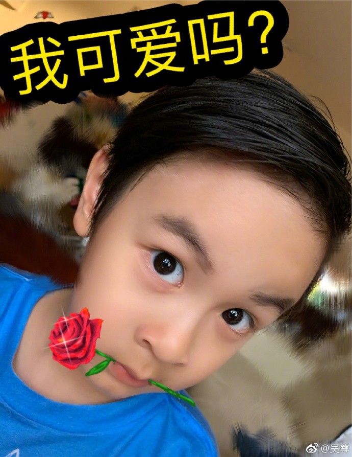 SSSARTISTWU06