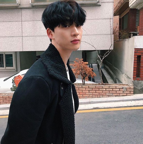 Screen Shot 2019-03-12 at 12.00.23 PM