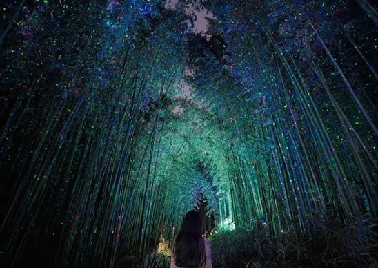 Screen Shot 2019-03-18 at 6.08.49 PM