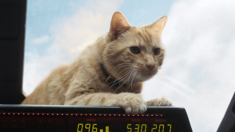 captain-marvel-goose