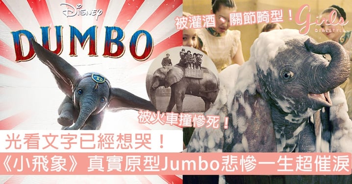 光看文字已經想哭！《小飛象》真實故事原型「Jumbo」悲慘一生超催淚，被灌酒、關節畸型更被撞死！