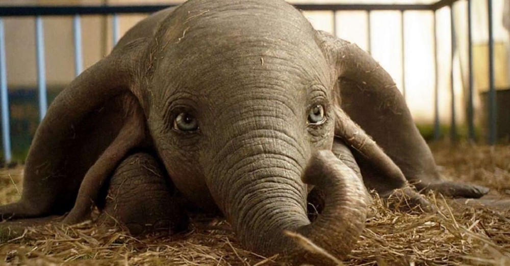 2019-movies-dumbo-1152924-1280x0