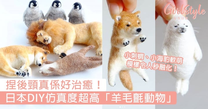 捏後頸真係好治癒！日本DIY仿真度超高「羊毛氈動物」，小刺蝟、小海豹軟萌模樣令人秒融化！