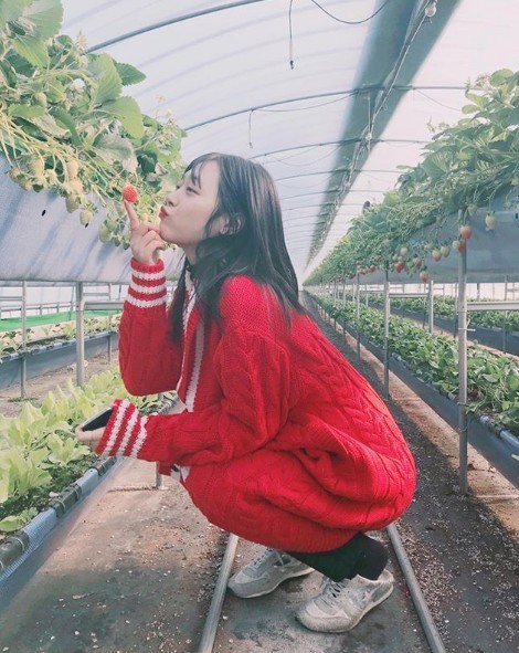 Screen Shot 2019-04-25 at 1.23.22 PM