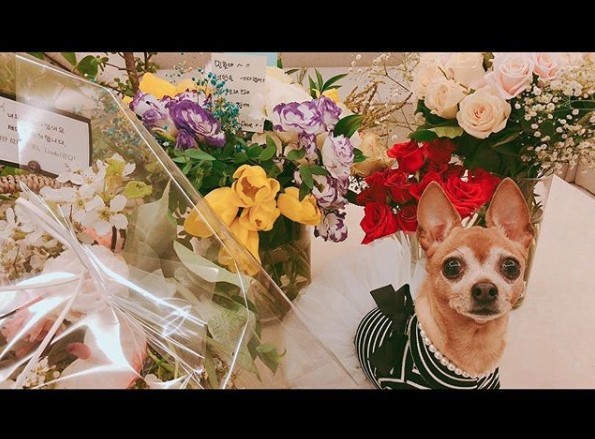Screen Shot 2019-04-26 at 3.08.09 PM