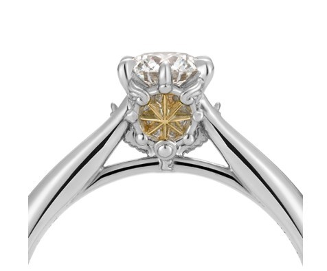 Screen Shot 2019-04-30 at 11.40.31 AM