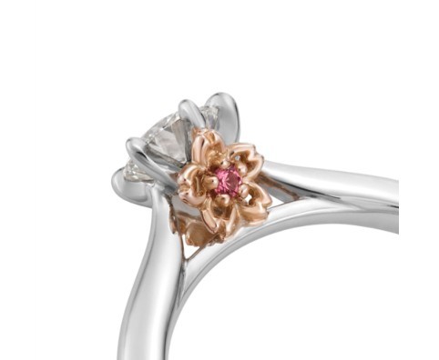 Screen Shot 2019-04-30 at 11.54.21 AM