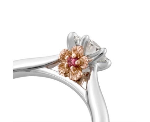 Screen Shot 2019-04-30 at 11.54.28 AM