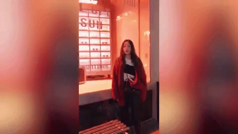 giphy (1)