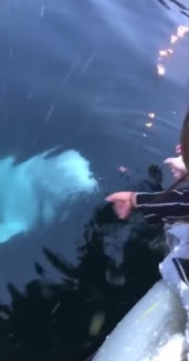 螢幕快照 2019-05-08 下午4.57.02