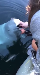 螢幕快照 2019-05-08 下午4.57.06