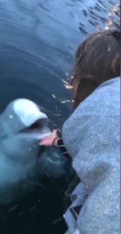 螢幕快照 2019-05-08 下午4.57.13