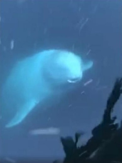 螢幕快照 2019-05-08 下午4.57.44